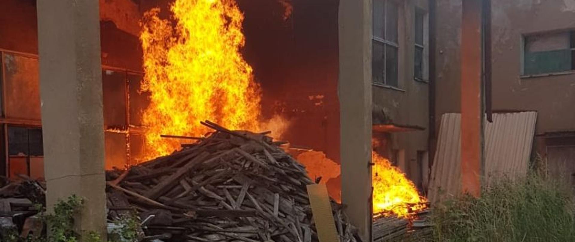 Pożar rozwinięty hałdy drewna na terenie byłych koszar wojskowych w Żarach . Składowisko znajduje się pod wiatą magazynową. Ogień sięga sufitu wiaty.
