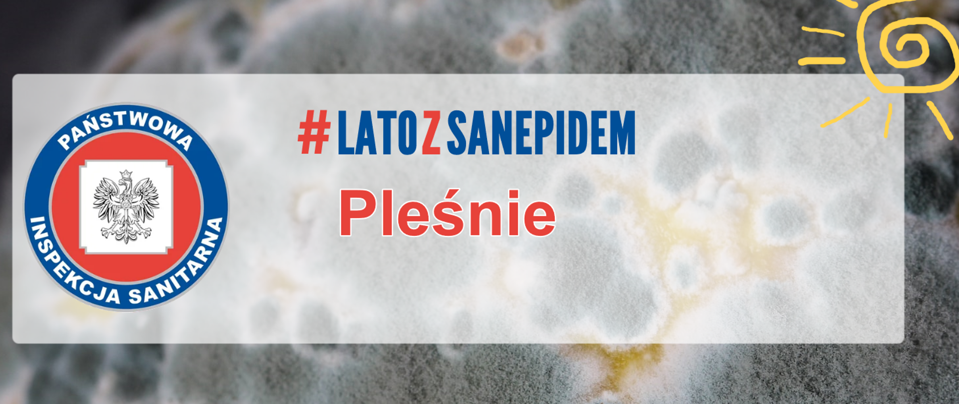 Grafika przedstawia zdjęcie pleśni, poniżej znajduje się napis : # latozsanepidem – pleśń , obok napisu logo Inspekcji Sanitarnej