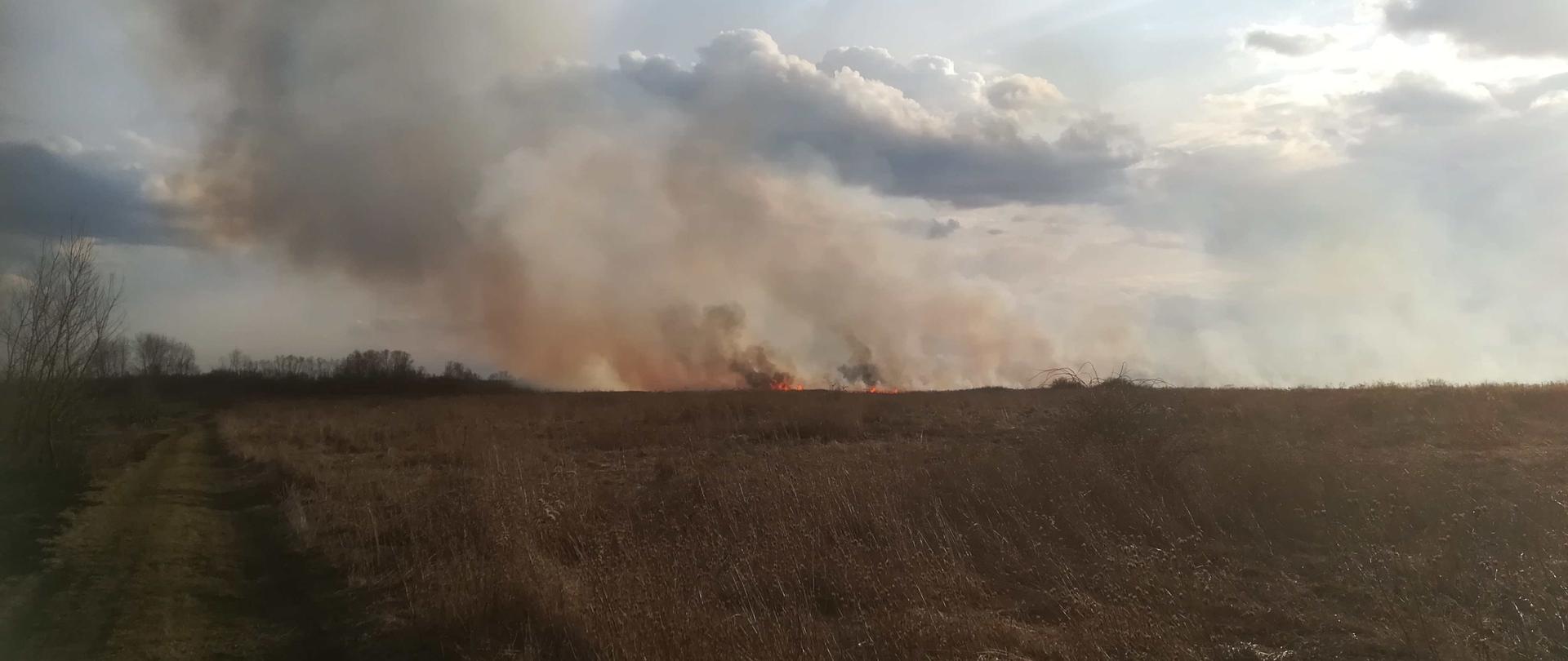 Zdjęcie zrobione na rozległym terenie, po lewej stronie biegnie droga gruntowa na horyzoncie widać płomienie z palącej się trawy i unoszący się dym. Na zachmurzonym niebie widać promienie słońca zza chmur. 