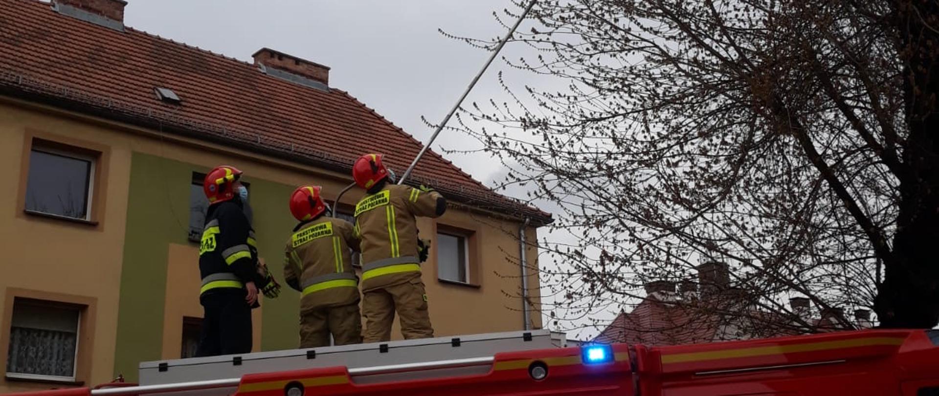 Strażacy uwalniają gołębia stojąc na samochodzie strażackim czerwonym