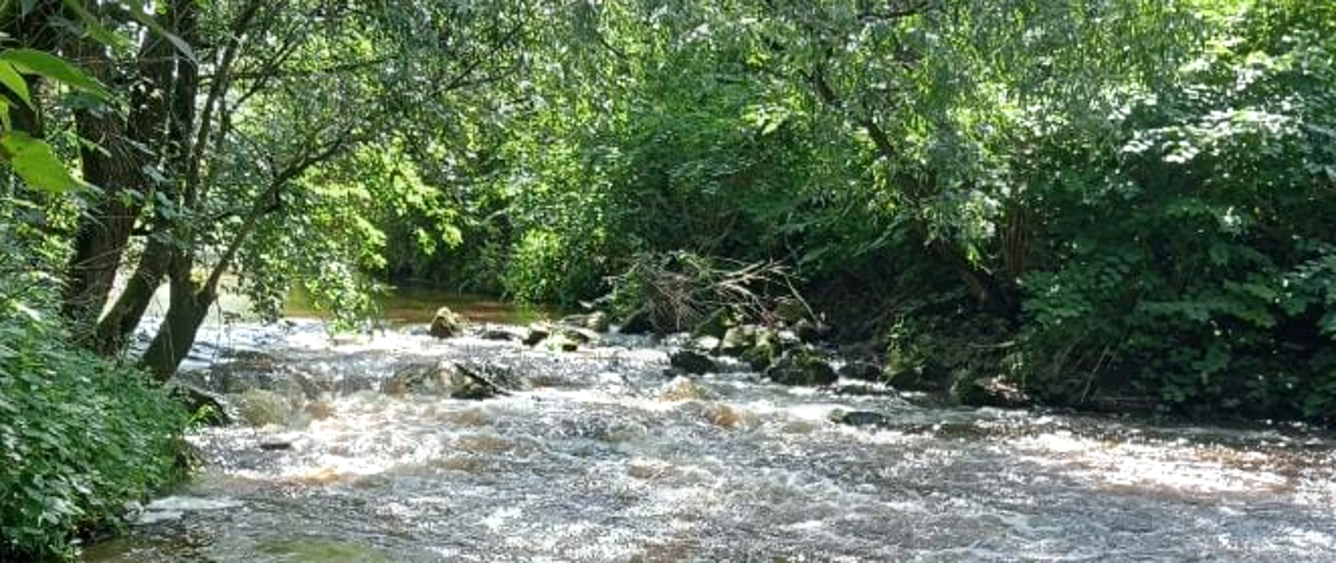Dobre wiadomości znad Bukowej