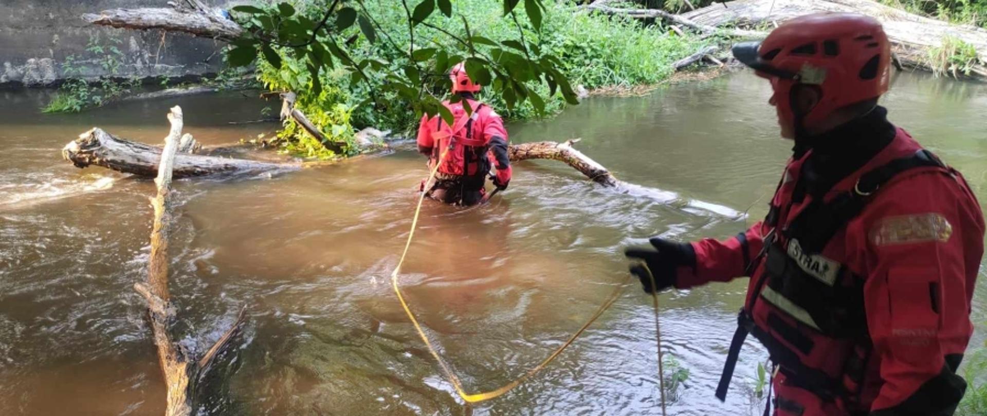 Psie kłopoty na Utracie