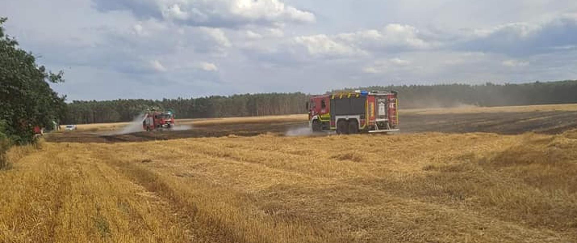 Na zdjęciu palące się zboże oraz ściernisko. Widać dym i nadpalone zboże. Na miejscu działań pracują zastępy straży pożarnej.