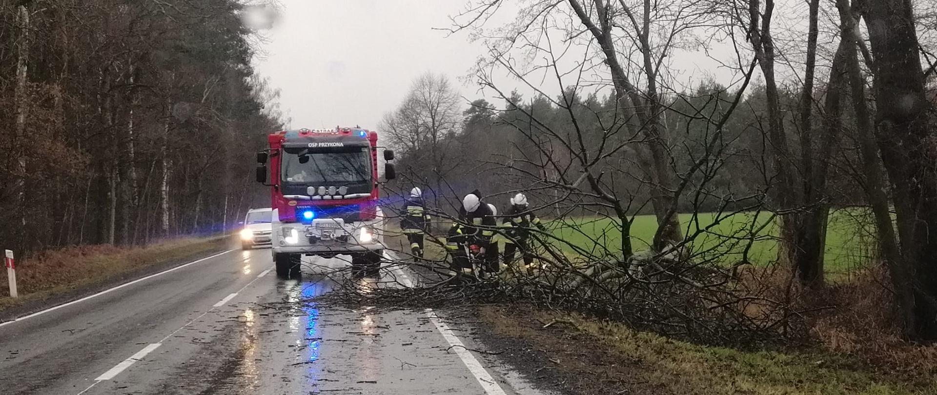 Strażacy usuwają drzewo z jezdni