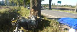 Zderzenie motocykla z drzewem