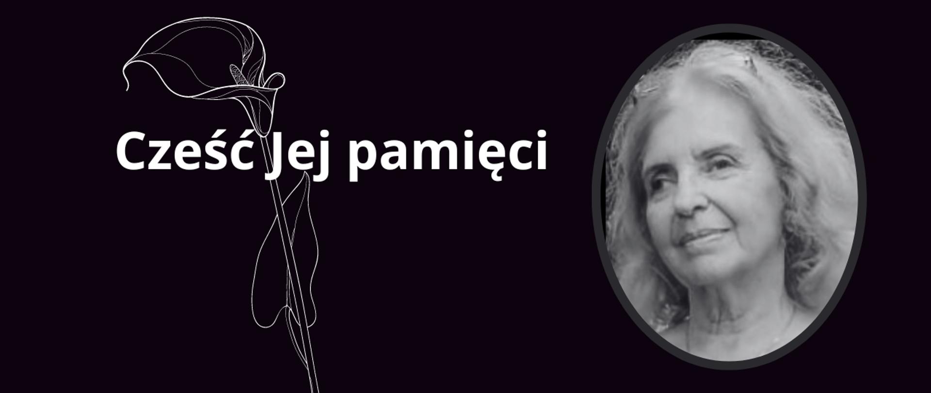 Zaślepki_Strona_internetowa_(1)