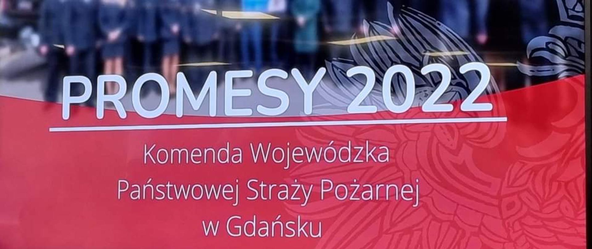 Nowe wozy ratowniczo-gaśnicze dla OSP. Promesy rozdane