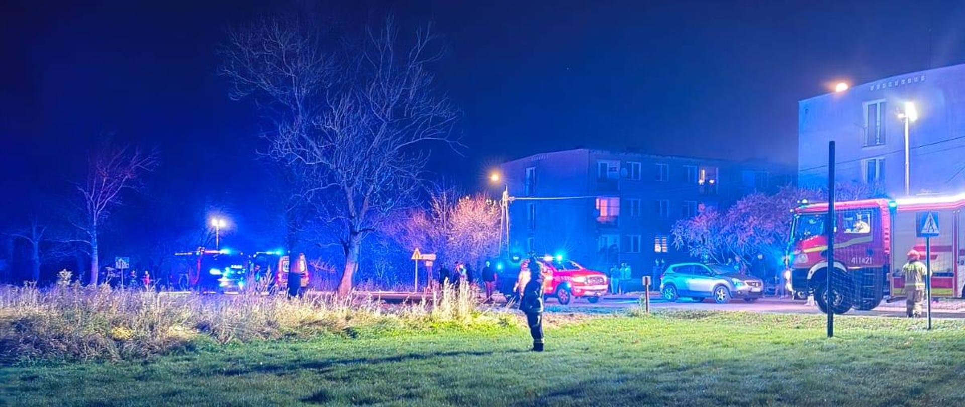 Noc. Na drodze w oddali stoją pojazdy służb ratowniczych na niebieskich światłach ostrzegawczych, niebieska poświata.