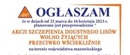 Wiosenne szczepienie lisów na terenie województwa mazowieckiego