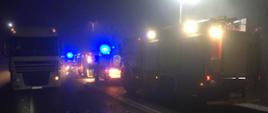 Zdjęcie przedstawiające pojazdy straży pożarnej, ratownictwa medycznego oraz samochodu ciężarowego podczas nocnego wypadku na DK11 w m. Bronisław