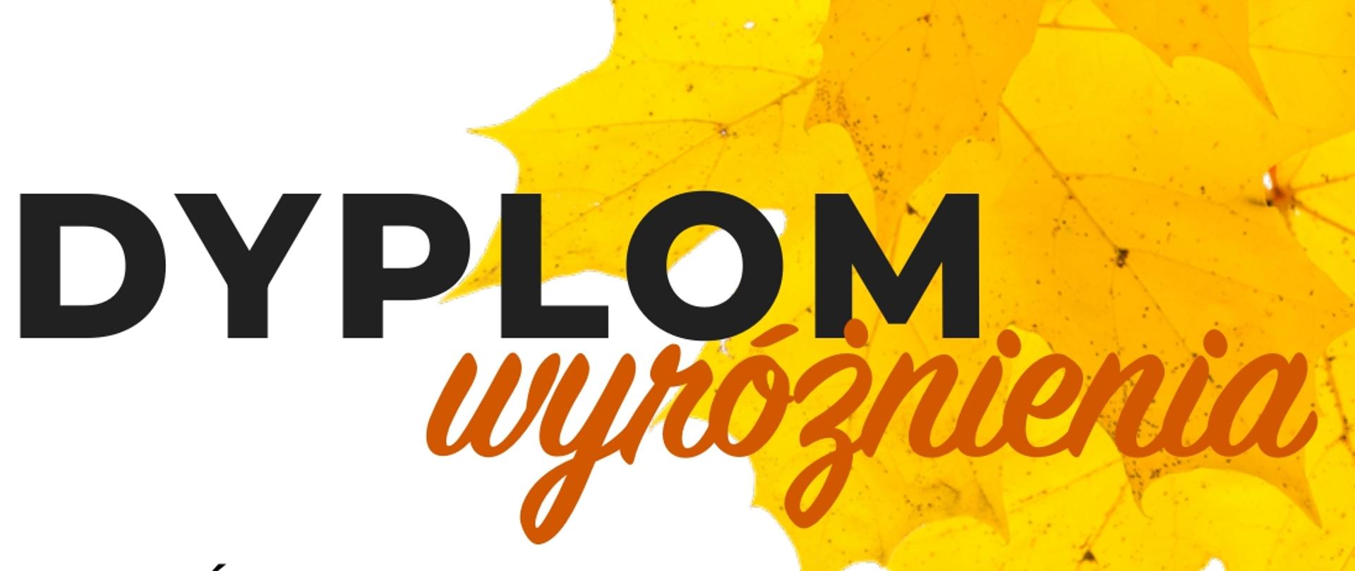 Dyplom dla Piotra Orawca za otrzymanie wyróżnienia w VIII Ogólnopolskim Konkursie organizowanym w ramach Festiwalu FORTE.