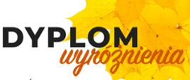 Dyplom dla Piotra Orawca za otrzymanie wyróżnienia w VIII Ogólnopolskim Konkursie organizowanym w ramach Festiwalu FORTE.