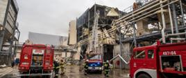 Wybuch i pożar w zakładzie produkcyjnym w Strzelcach Opolskich 