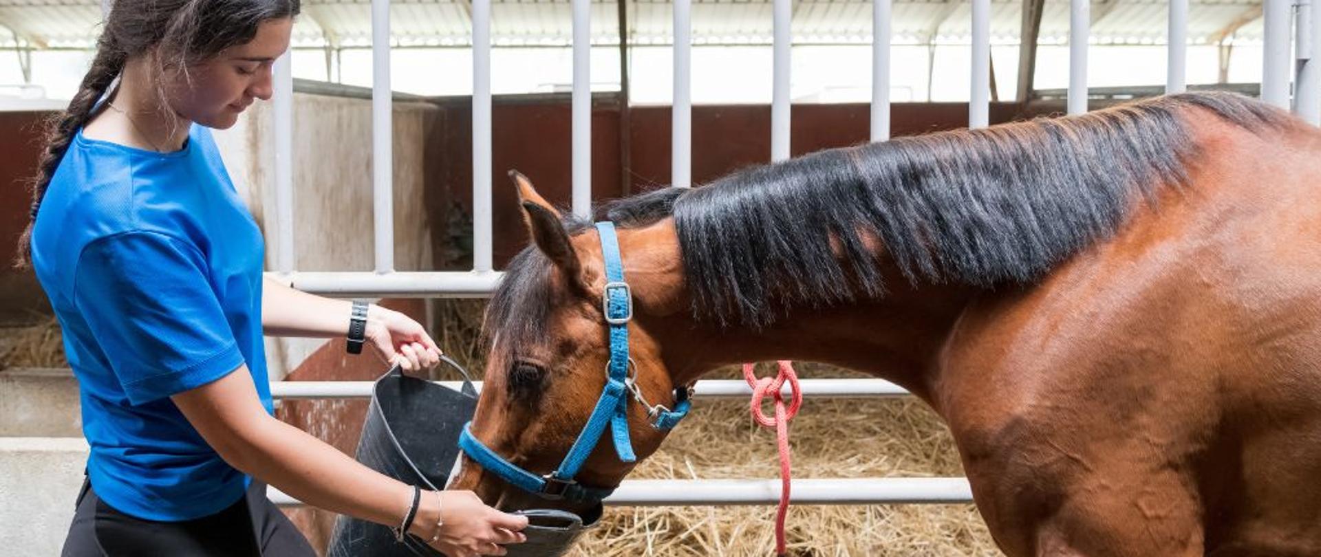 Kobieta karmiąca konia