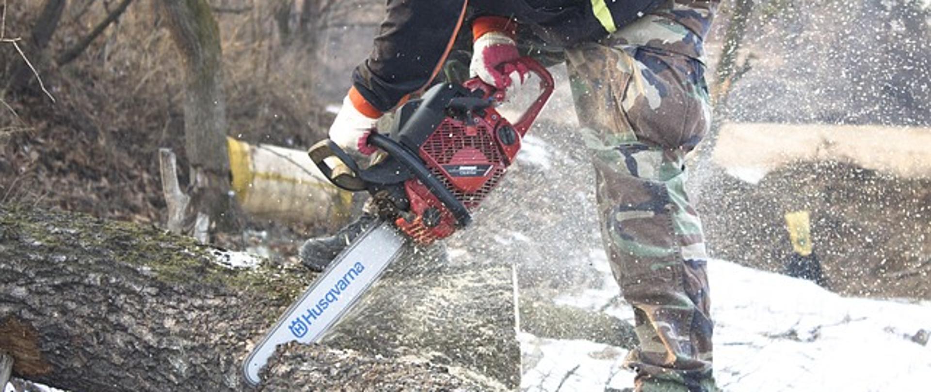 cięcie drzewa piłą elektryczną