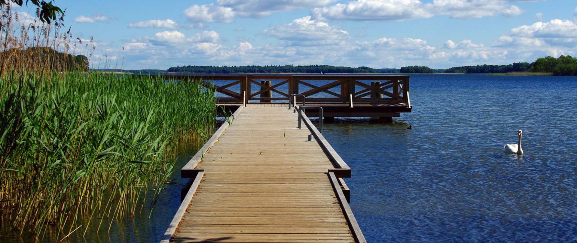 Zdjęcie przedstawia Pomost nad Jeziorem, z lewej strony roślinność przybrzeżna z prawej strony pomosty płynący łabędź