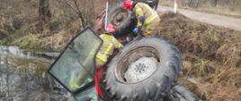 Na zdjęciu ciągnik rolniczy przewrócony w rzece a na nim dwóch strażaków w piaskowych mundurach.