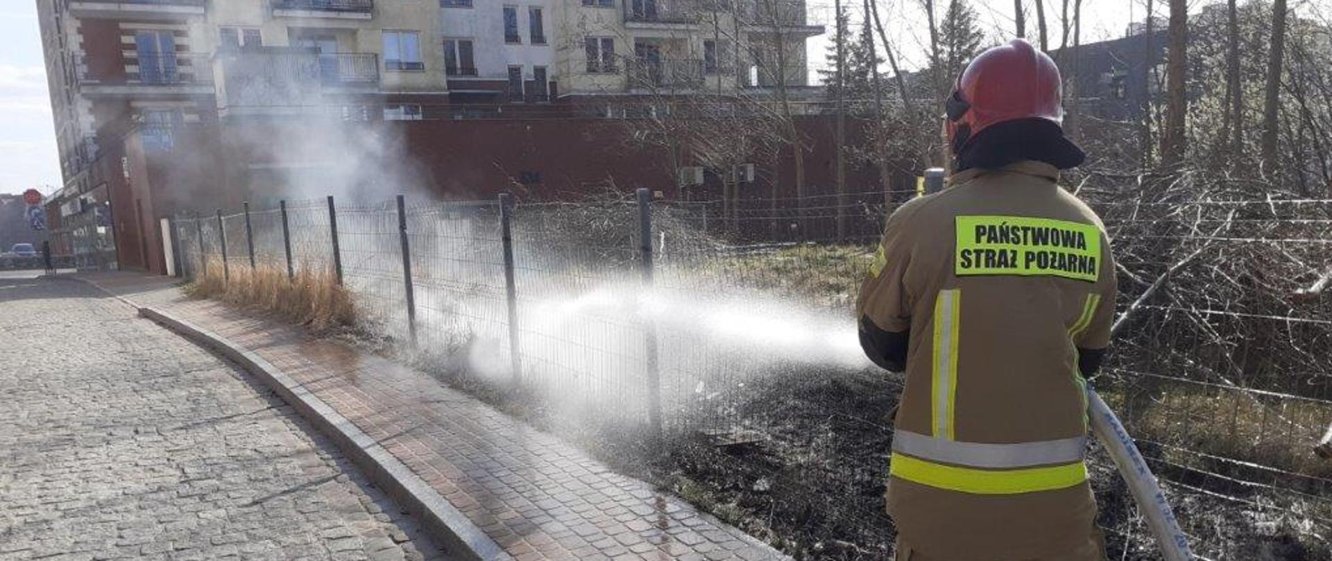 Pożary traw, działania gaśnicze ul. K. Wielkiego w Koszalinie