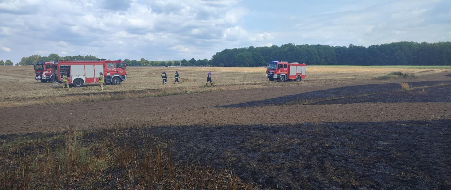na częściowo spalonym ściernisku w centrum zdjęcia wozy bojowe oraz ratownicy składający sprzęt, w tle las.
