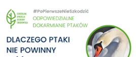 PoPierwszeNieSzkodzić – ptasie dokarmianie