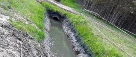 Rów melioracyjny wypełniony wodą, ziemia dookoła porośnięta jest trawą.