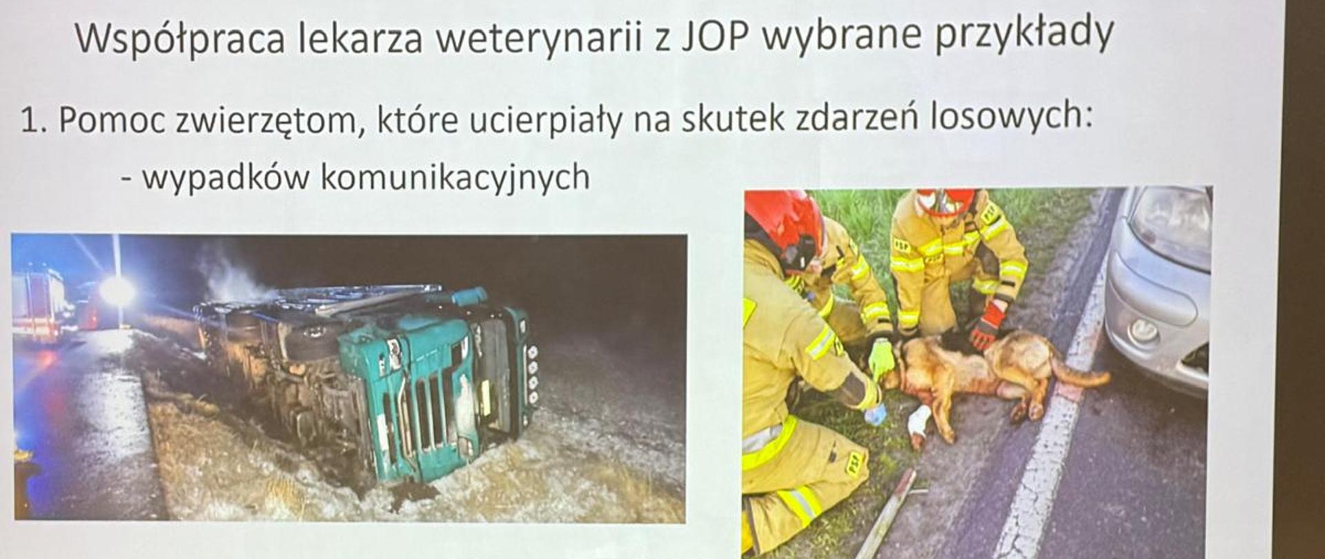 Seminarium z zakresu organizacji działań ratowniczych związanych z ratowaniem zwierząt