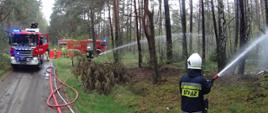 Strażacy w trakcie podawania wody na palący się las. Ćwiczenia w kompleksie leśnym. W tle samochody gaśnicze z włączonymi światłami ostrzegawczymi.