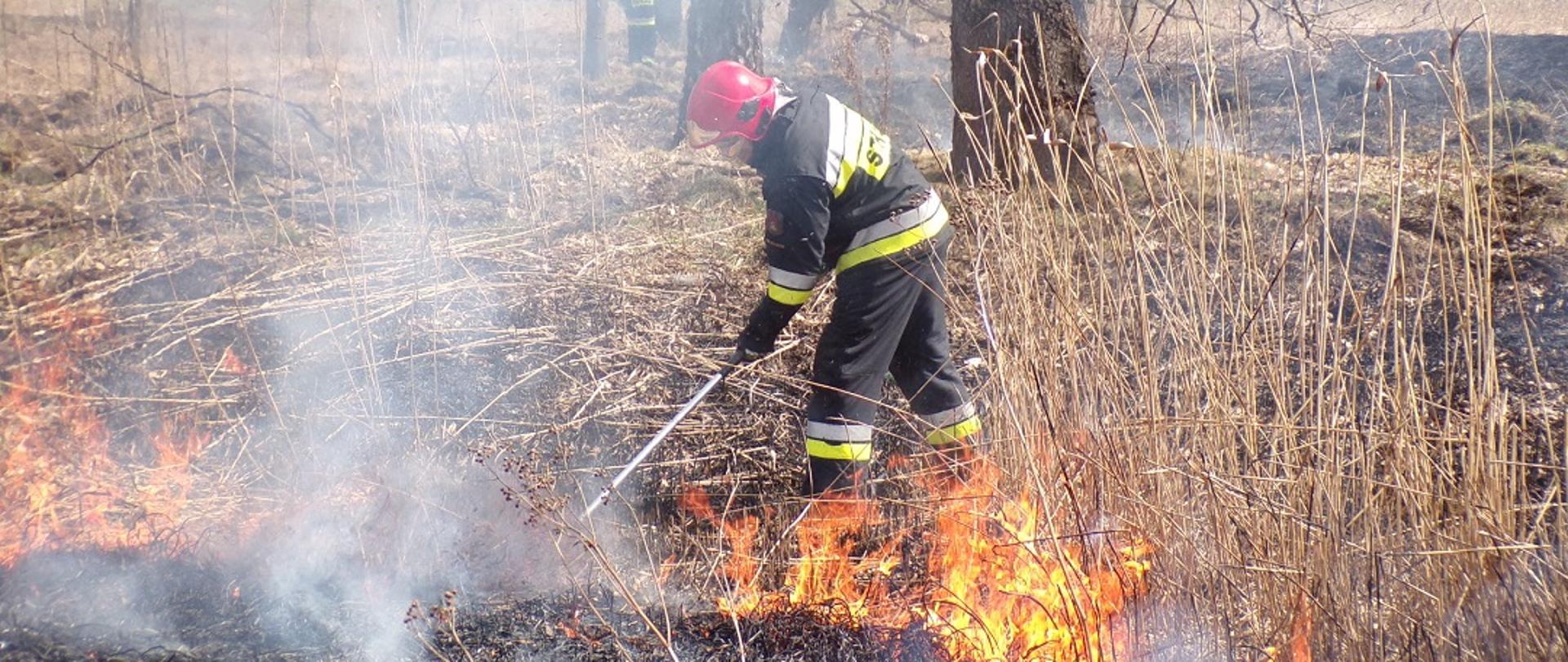 Na zdjęciu widzimy strażaka gaszącego pożar trawy na nieużytkach tłumicą. Na dalszym planie widzimy strażaka gaszącego pożar trawy za pomocą wody.