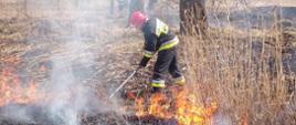 Na zdjęciu widzimy strażaka gaszącego pożar trawy na nieużytkach tłumicą. Na dalszym planie widzimy strażaka gaszącego pożar trawy za pomocą wody.