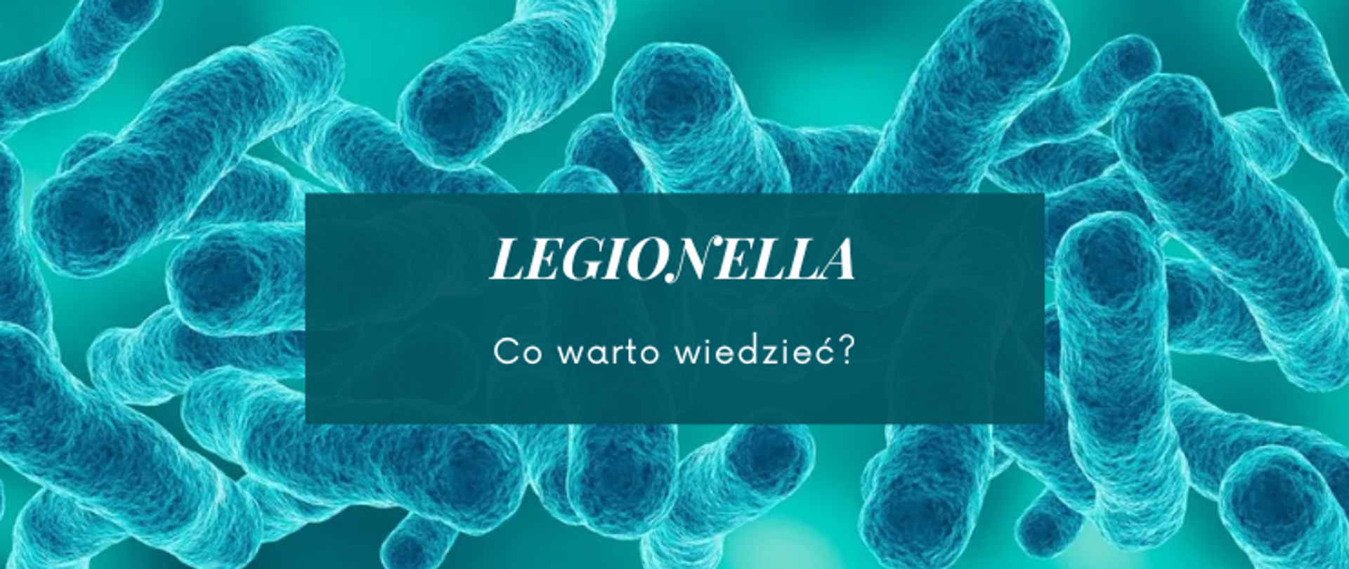 Legionella
