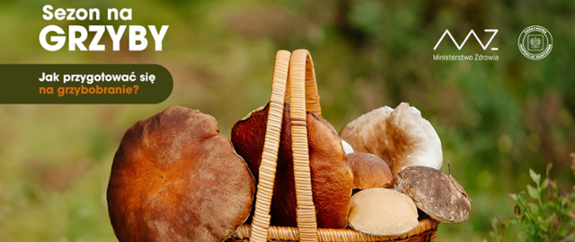 Zdjęcie przedstawia koszyk pełen grzybów