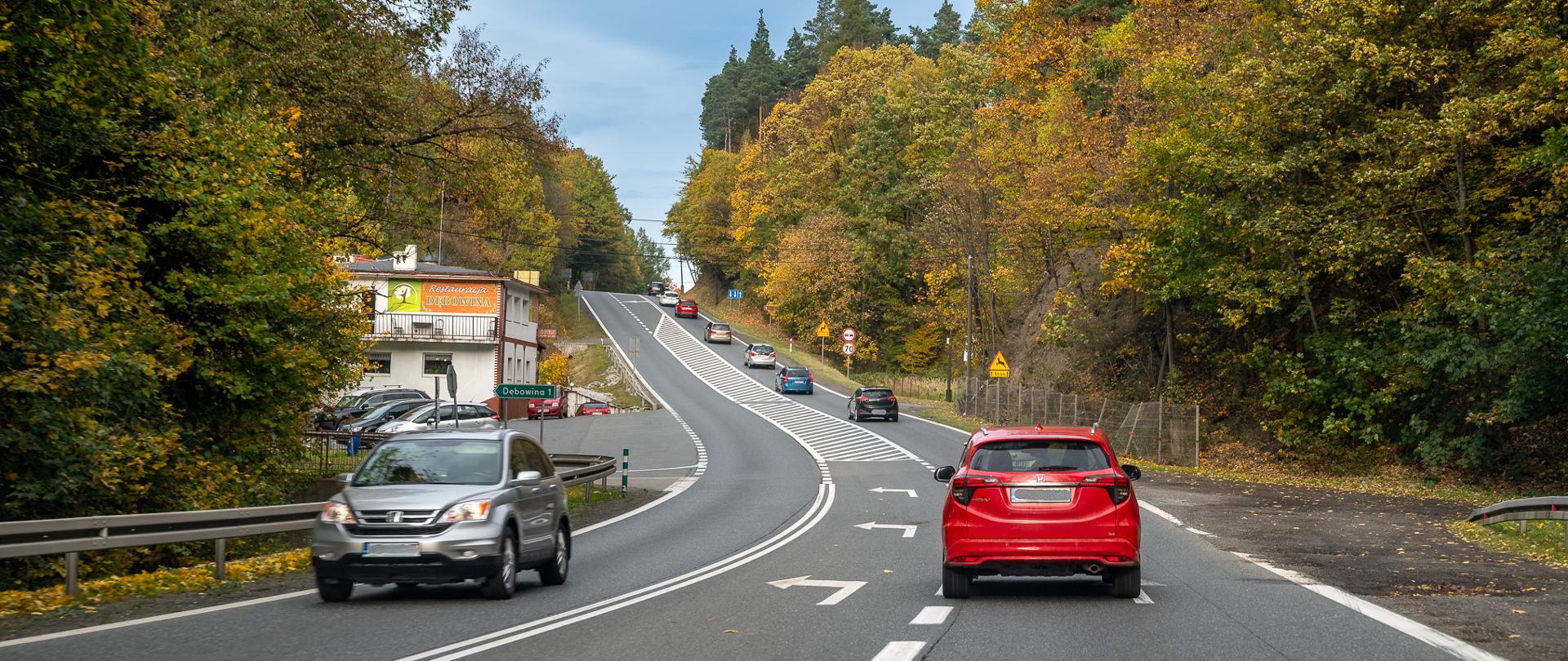 Dwupasmowa droga krajowa biegnąca przez pagórkowaty teren otoczony jesiennym lasem. Na jezdni widoczne są samochody jadące w obu kierunkach. Po lewej stronie znajduje się budynek przy drodze, a po prawej barierka i pobocze. Na niebie widać chmury. 