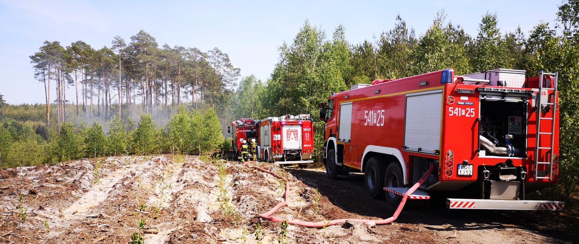 Wozy strażackie stojące na drodze leśnej podczas gaszenia pożaru lasu.