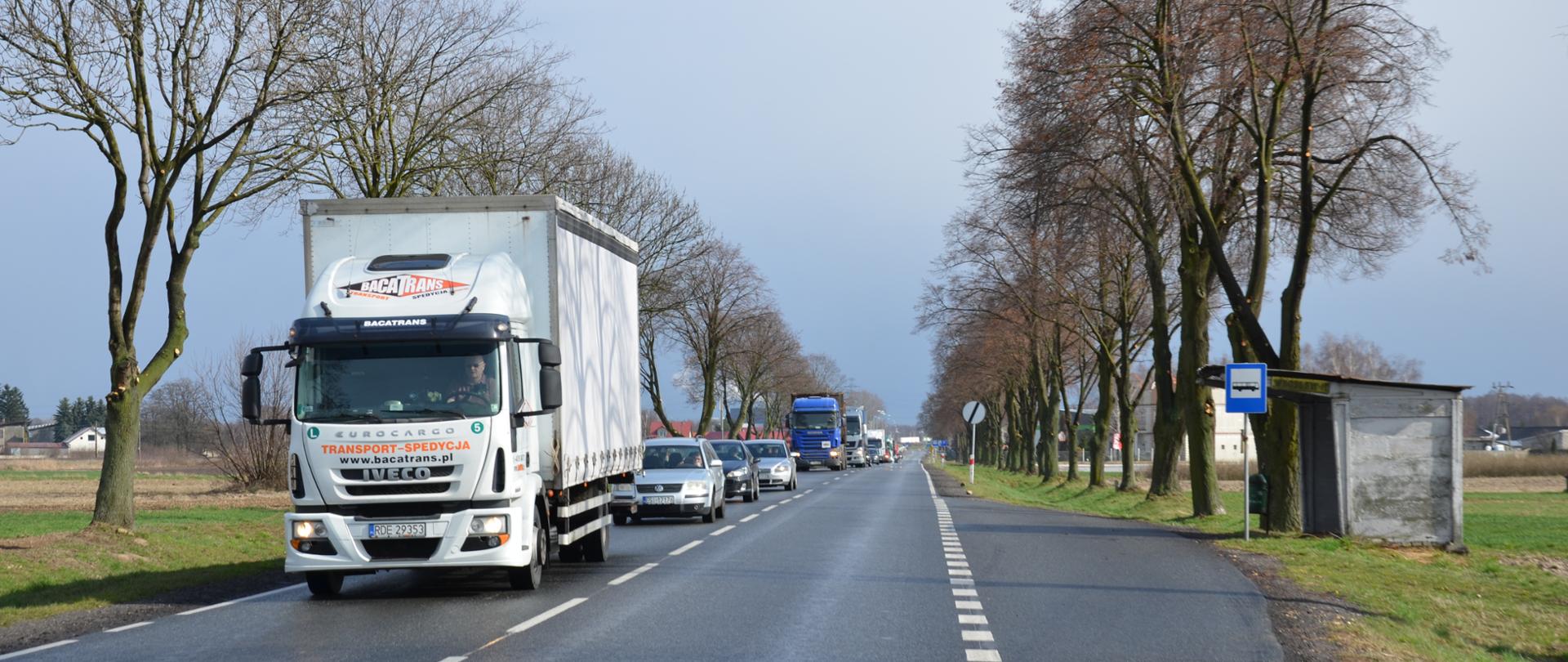 Widok na DK 12 koło Sieradza i przydrożne drzewa