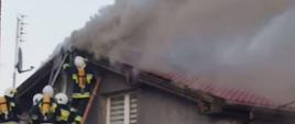 Kłęby dymu wydobywające się z poddasza budynku mieszkalnego. Strażacy podający prądy gaśnicze z drabiny przenośnej.