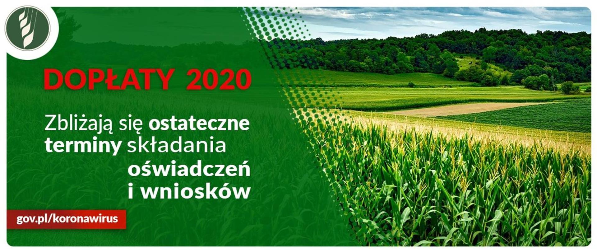 dopłaty 2020