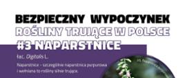 Infografika przedstawiająca zdjęcie roślinę trującą - naparstnica z opisem