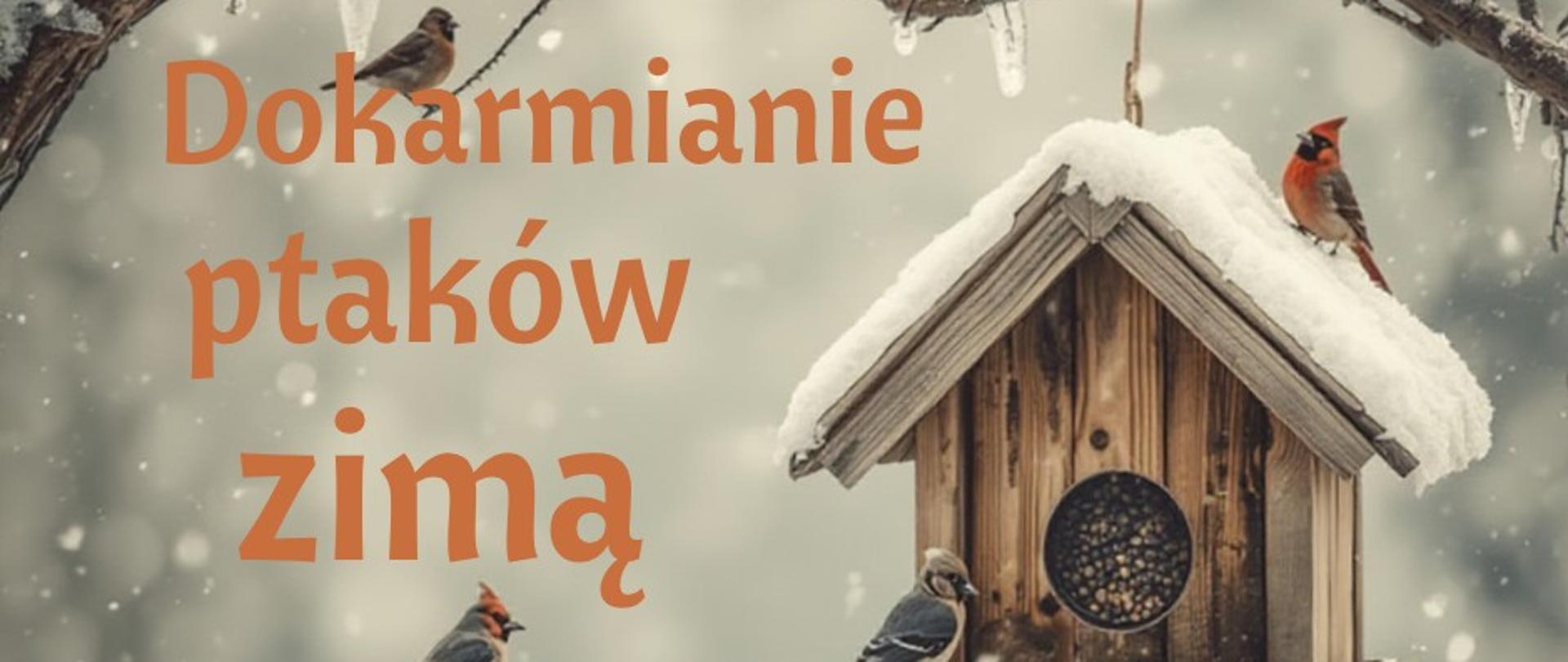 Kiedy zacząć dokarmianie ptaków