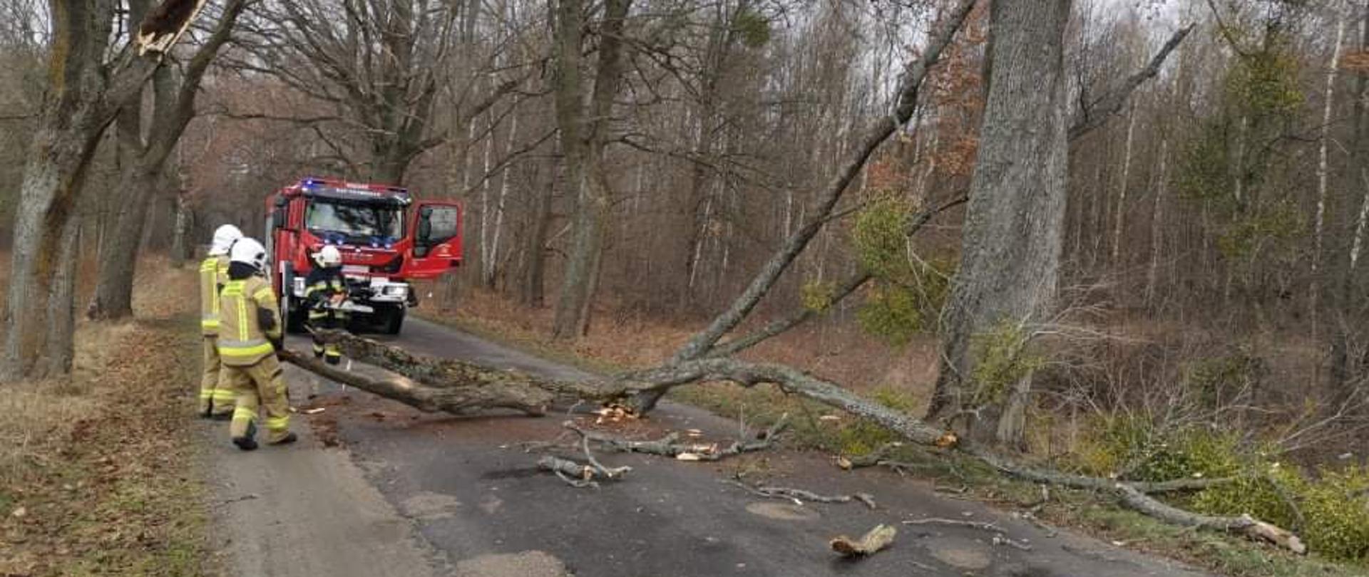 Strażacy usuwają drzewo, które leży na drodze i blokuje przejazd. Na drodze w tle czerwony samochód strażacki.