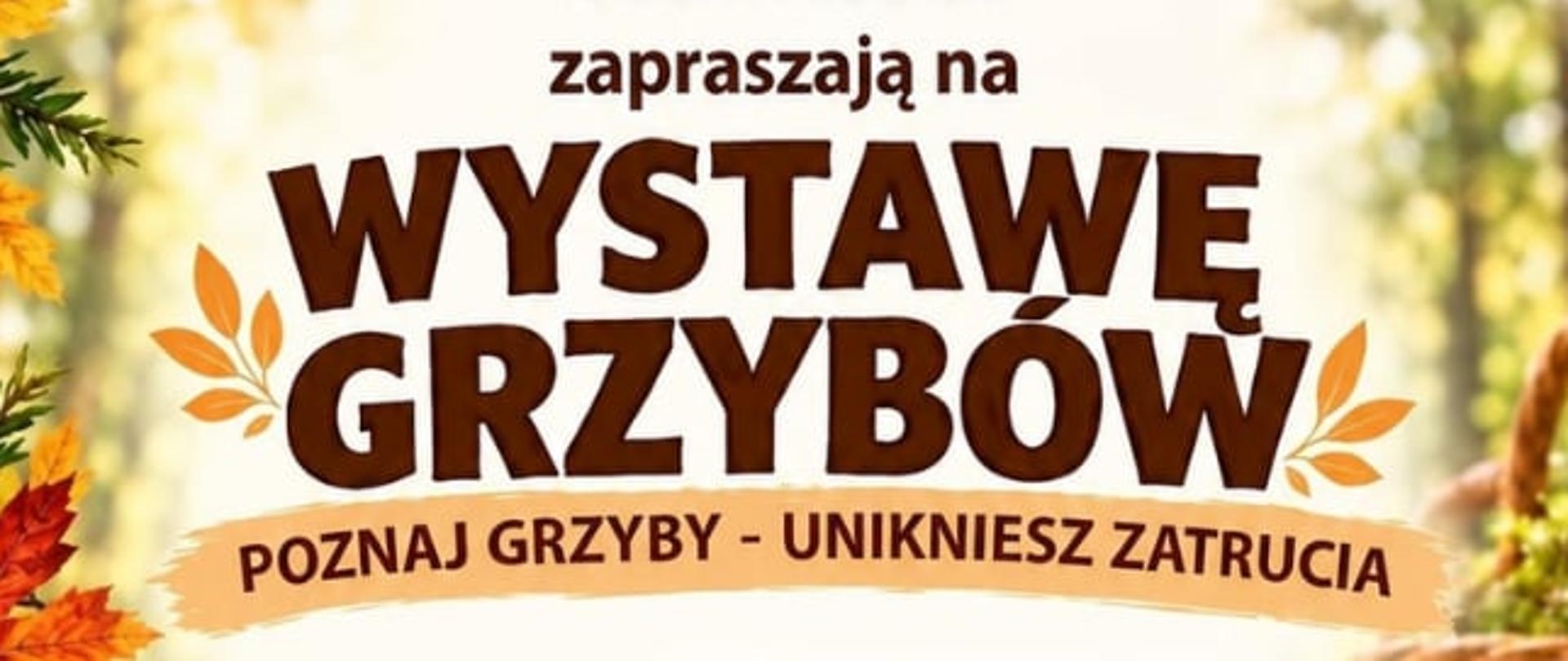 Plakat_Wystawa_grzybów_2026