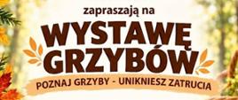 Plakat_Wystawa_grzybów_2026