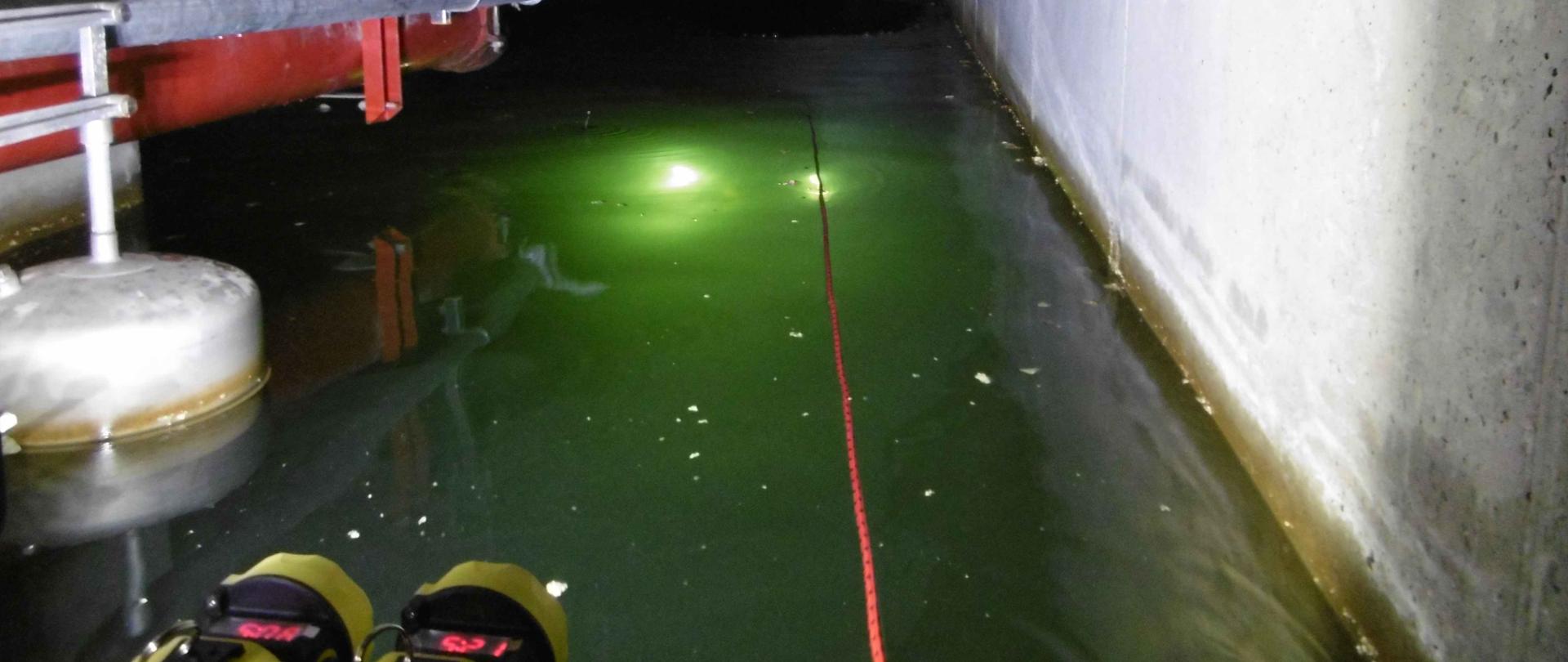 Nurkowanie w zbiorniku