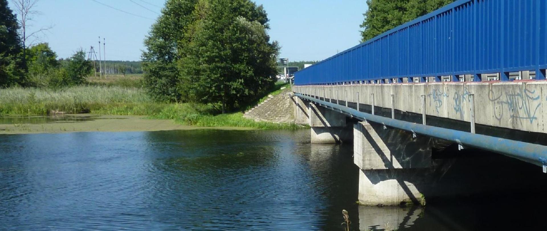 Widok na most drogowy nad spokojną rzeką w otoczeniu zieleni. Konstrukcja oparta na betonowych filarach, z charakterystycznymi niebieskimi barierami ochronnymi, prowadzi w kierunku widocznej w oddali drogi i zabudowań. Woda jest gładka, z lekkimi odbiciami konstrukcji, a brzegi porastają trawy i drzewa.