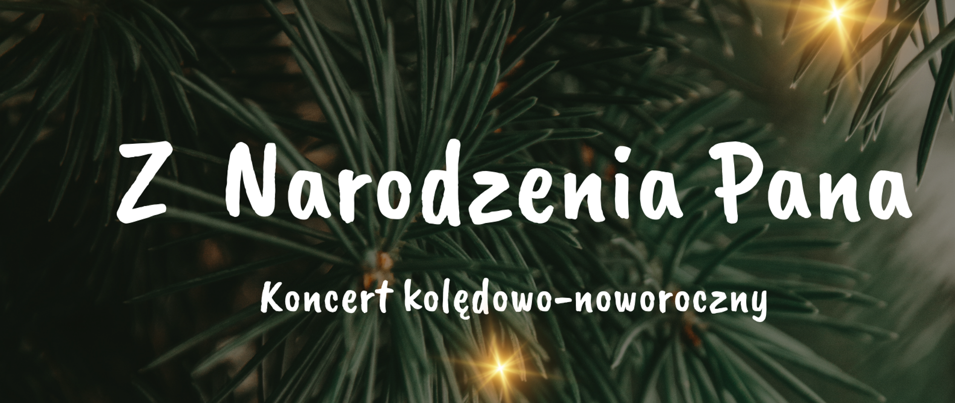 Białe napisy oznajmujące koncert kolędowo-noworoczny. W tle igliwie oraz przebłyskujące światła. W dole loga organizatorów.
