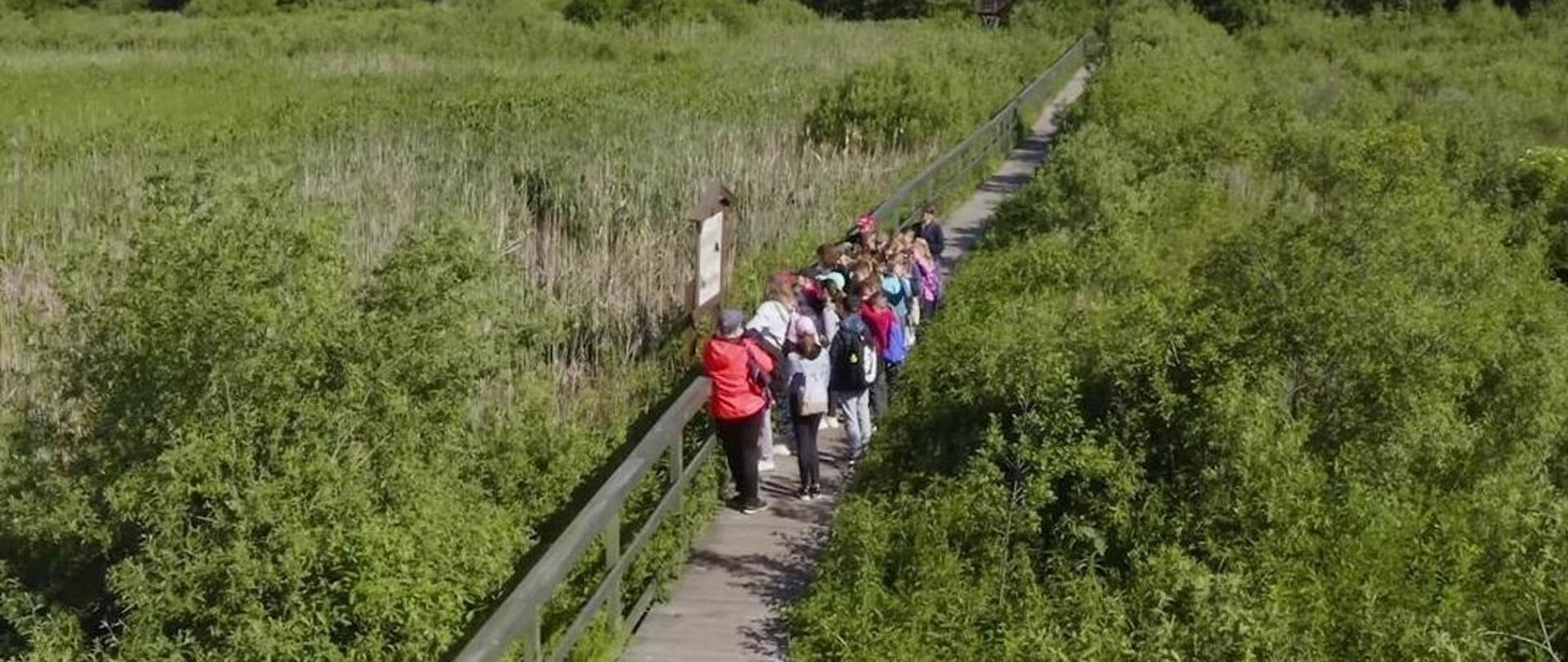 Widoczna kładka wśród zieleni. Na kładce ludzie stoją i patrzą na stojącą tabliczkę. 