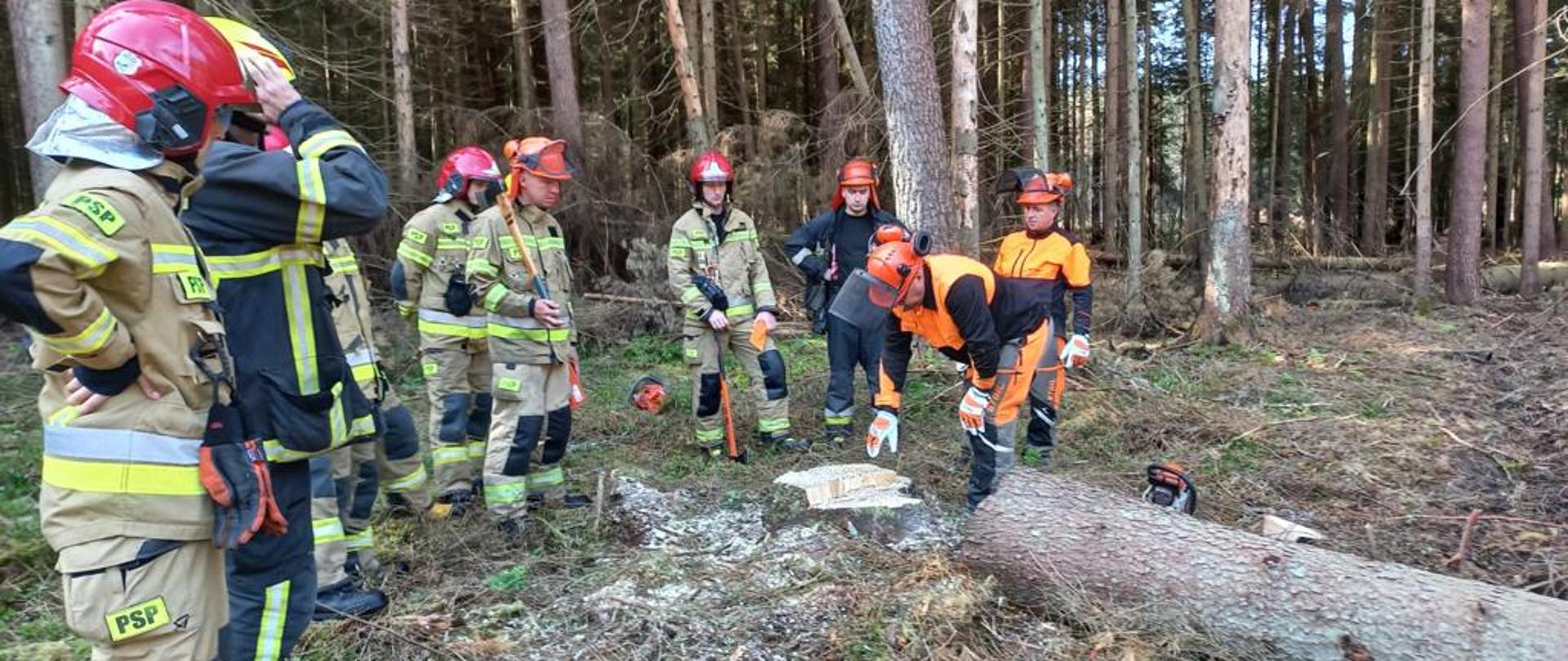 Szkolenie doskonalące z zakresu obsługi pilarki łańcuchowej w N. Karniszewice.