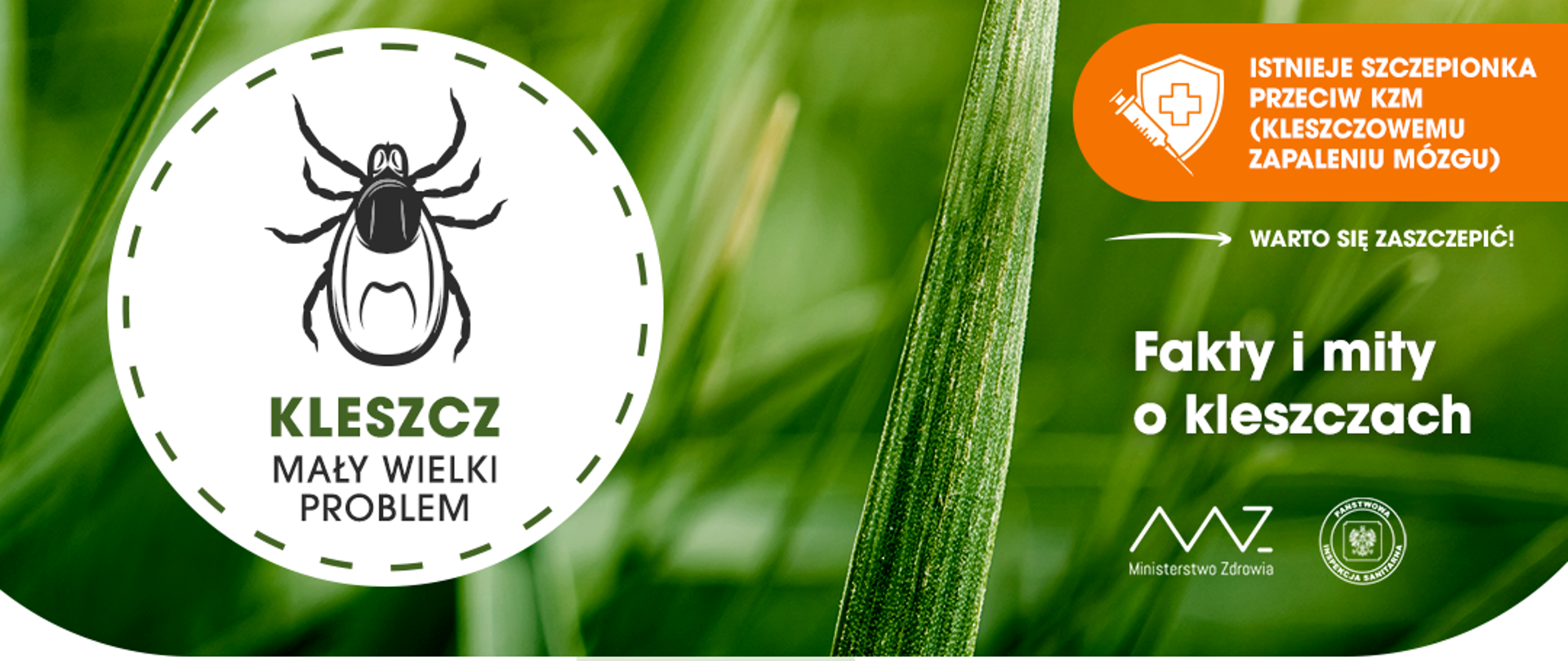 Uwaga na kleszcze