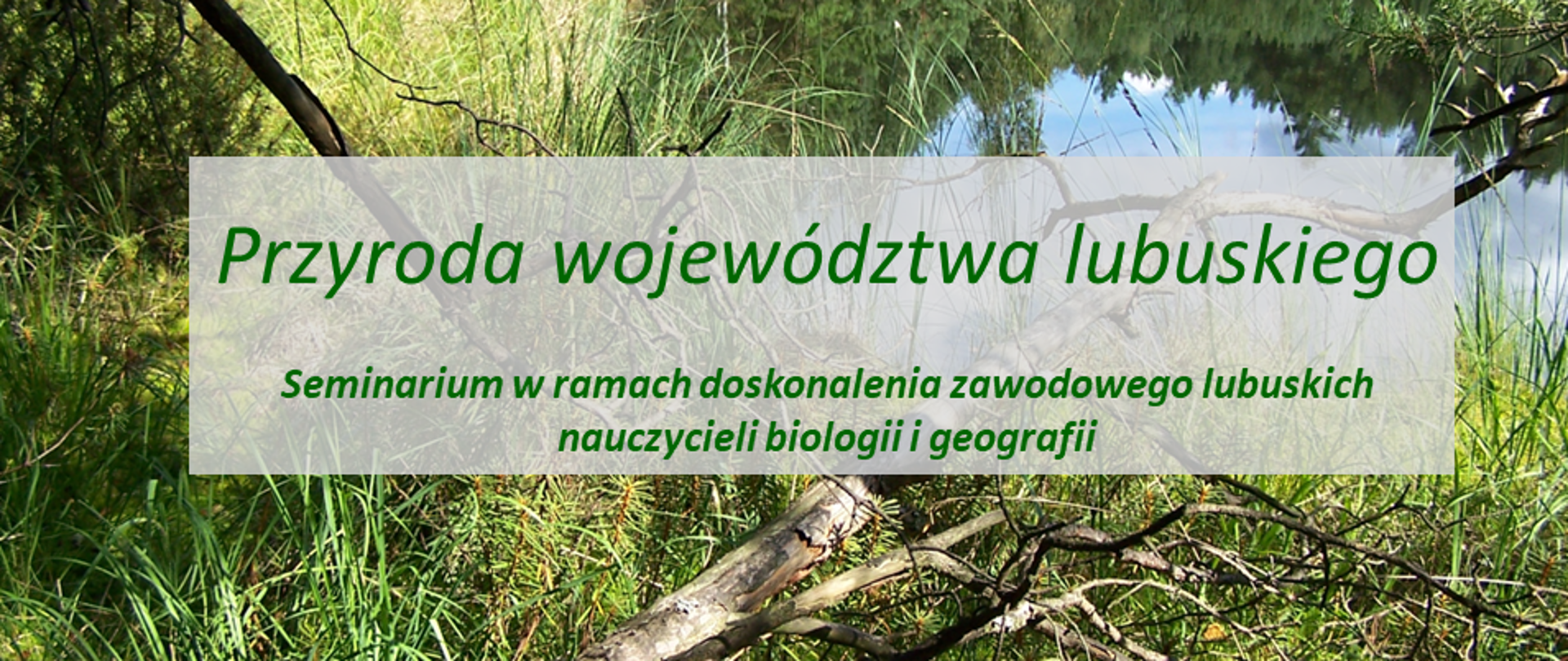 Krajobraz z roślinnością i wodą. Na środku napis Przyroda województwa lubuskiego.
