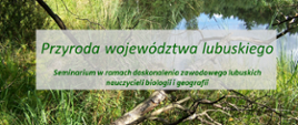 Krajobraz z roślinnością i wodą. Na środku napis Przyroda województwa lubuskiego.