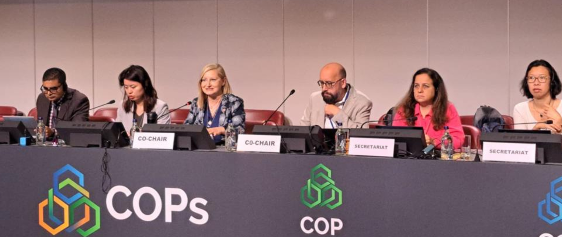 Magda Gosk, I Zastępca Głównego Inspektora Ochrony Środowiska, przewodniczy międzynarodowym negocjacjom 